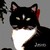 :iconylang2: