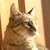 :iconymkw-rtr: