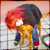 :iconynkeliig: