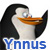 :iconynnus:
