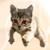 :iconynze: