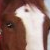 yo-kintaro :iconyo-kintaro: