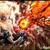 :iconyoai123: