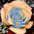 :iconYoAkMama: