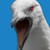 :iconyobes: