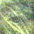 :iconyochachi: