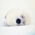 :iconyodaswife:
