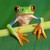 :iconyogapig: