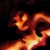 :iconyoin: