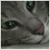 :iconyoinky: