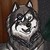 :iconyokia-shime: