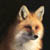 :iconyokokitsunespirit: