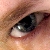:iconyokoto: