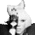 :iconyokyoki: