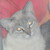 :iconyolixnala: