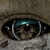 :iconyonsof: