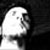 :iconyookartik:
