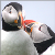 :iconyoonett: