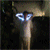 :iconyootbung: