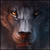 :iconyorlink:
