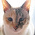 :iconyoruwo: