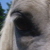 :iconyorynot: