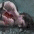 :iconYosia82:
