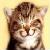 :iconyou-n-me0105: