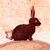 :iconyoucanttakeit: