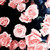 :iconyoudonegoofed: