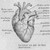 :iconyoufoundmehere: