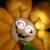 :iconyoukonokitsune: