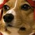 :iconyoukubou: