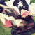 :iconyoungafflatus:
