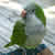 :iconYour-Mom-Is-Watching: