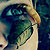 :iconyouraonetrickpony: