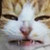 :iconyourbiggeststalker: