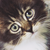 :iconyourcoldhands: