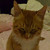 :iconyoureslf: