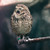 :iconyourethelastone: