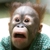 :iconyourfavoritemichael: