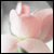 :iconyourheartraces:
