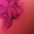 :iconyourkissmightxkillme: