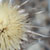 :iconyournature: