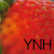 :iconyournewhero: