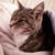 :iconyours-truly-theo:
