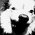 :iconyoursexyandyouknowit:
