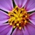 :iconyourspace: