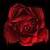 :iconyourtearsdontfall: