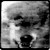 :iconyouthincrisis: